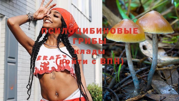 Альфа ПВП Алексин