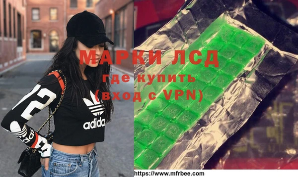 ГАЛЛЮЦИНОГЕННЫЕ ГРИБЫ Алзамай