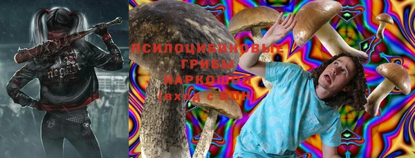 гидропоника Абаза