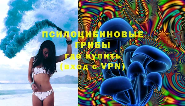 ГАЛЛЮЦИНОГЕННЫЕ ГРИБЫ Алзамай