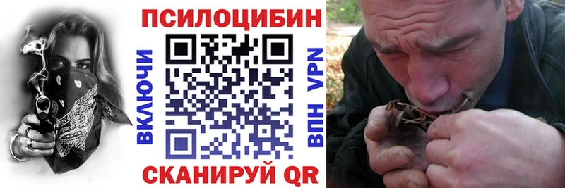 где можно купить   нарко площадка официальный сайт  Псилоцибиновые грибы мицелий  Златоуст  omg зеркало 